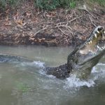 What’s REALLY Been Going Down In Emily Town